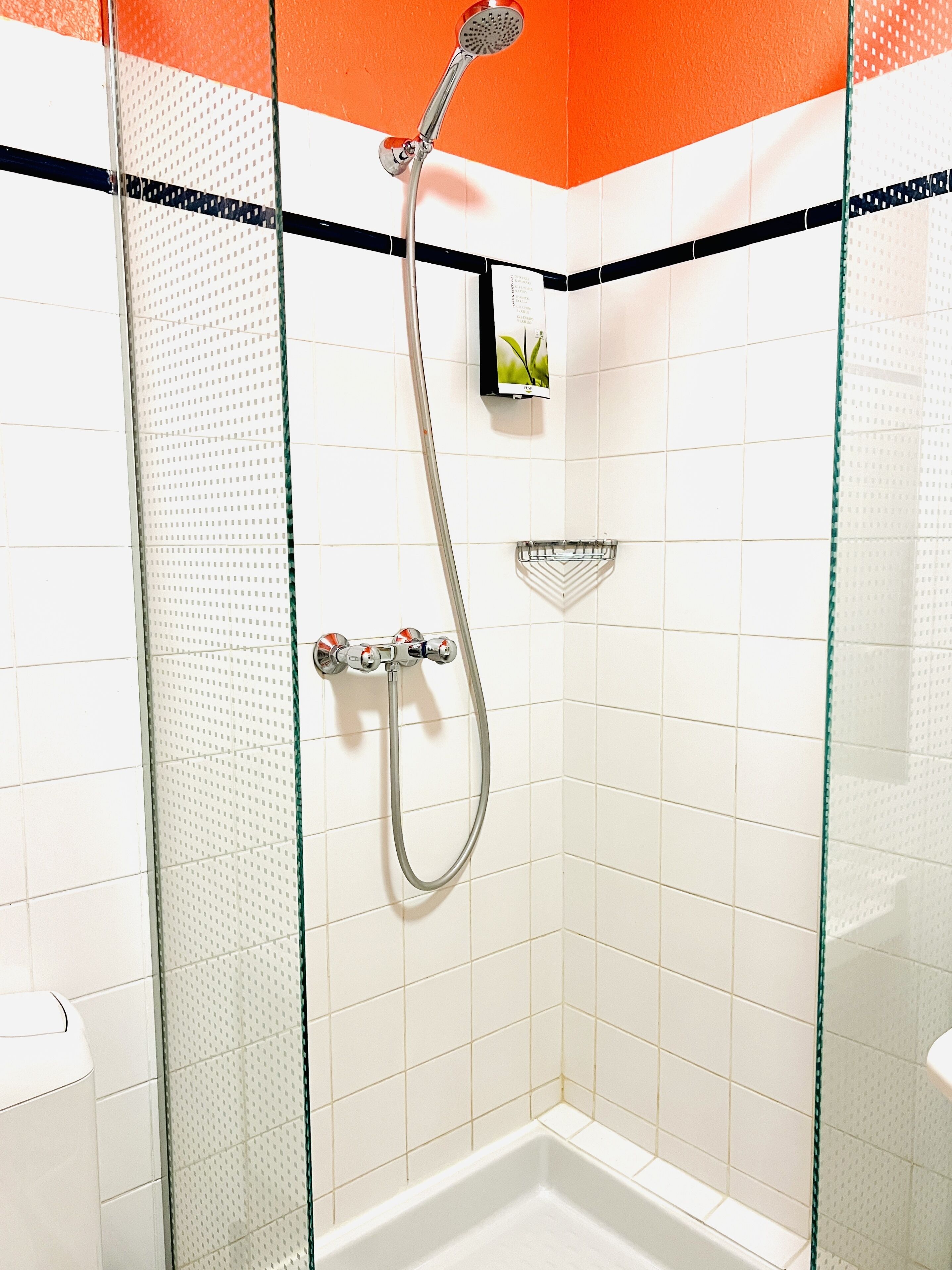 Une douche équipée d’un pommeau de douche à main et d’un robinet fixé au mur.