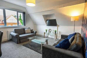 Fernseher, Arbeitsbereiche