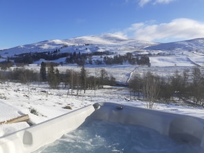 Property grounds - Scots Pine Treehouse @ Dalnoid - secluded, sleeps 2, hot-tub, mountain views (Blairgowrie)