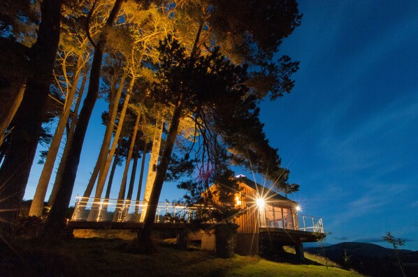 Exterior - Scots Pine Treehouse @ Dalnoid - secluded, sleeps 2, hot-tub, mountain views (Blairgowrie)