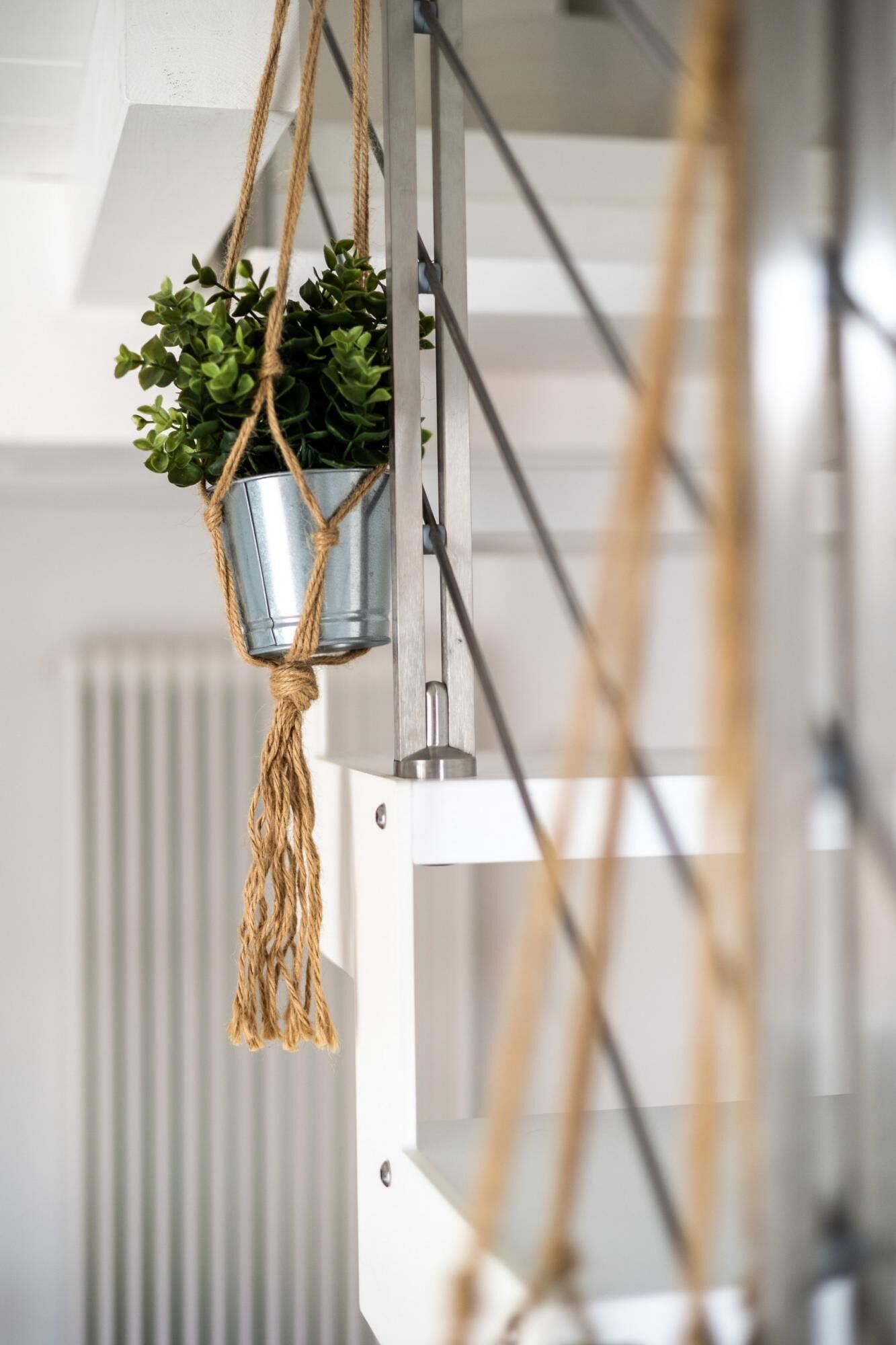 Een hangplant in een metalen emmer, opgehangen aan een touw.