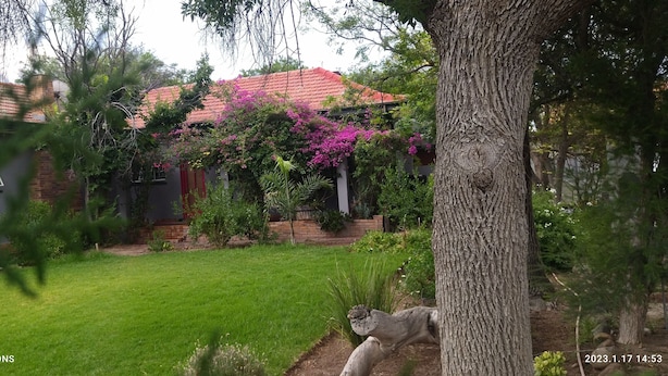 A house with a red tiled roof, a brick exterior, and a well-maintained garden with a lawn and flowering plants.