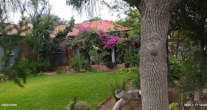 Immaculate 2-bed Garden Cottage in Beaufort West