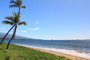 Una playa con palmeras y un cielo azul despejado.