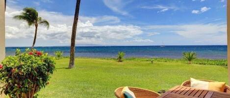 Condo, 1 Bedroom | Property grounds