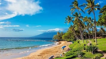 Condo, 1 chambre | Plage | Plage à proximité