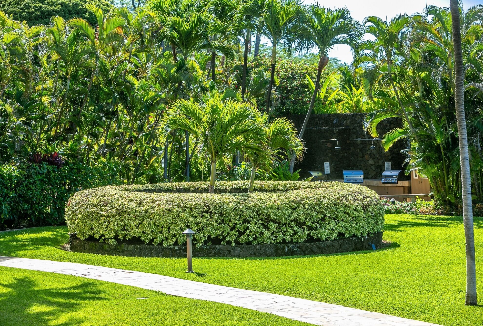 A well-maintained garden with a circular hedge, a paved walkway, and a stone wall in the background.