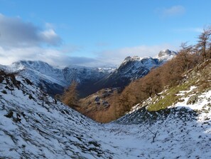 コテージ | 施設の敷地