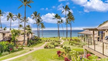 Condo, 2 quartos | Área da propriedade