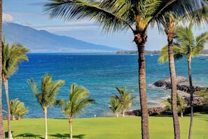 Condo, 1 Bedroom | Beach | Beach nearby