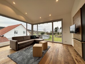 Fernseher, Videothek