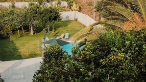 Un jardin à l’arrière de la maison, avec une piscine, entouré d’une végétation luxuriante et de palmiers.