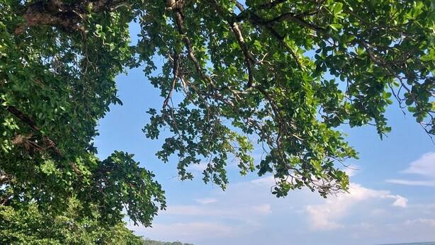 A beach with rocky shoreline, trees, and ocean waves. - White Beach Jungle Villa and Private Pool, National Park Cahuita (Cahuita)
