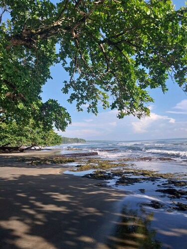 White Beach Jungle Villa and Private Pool, National Park Cahuita