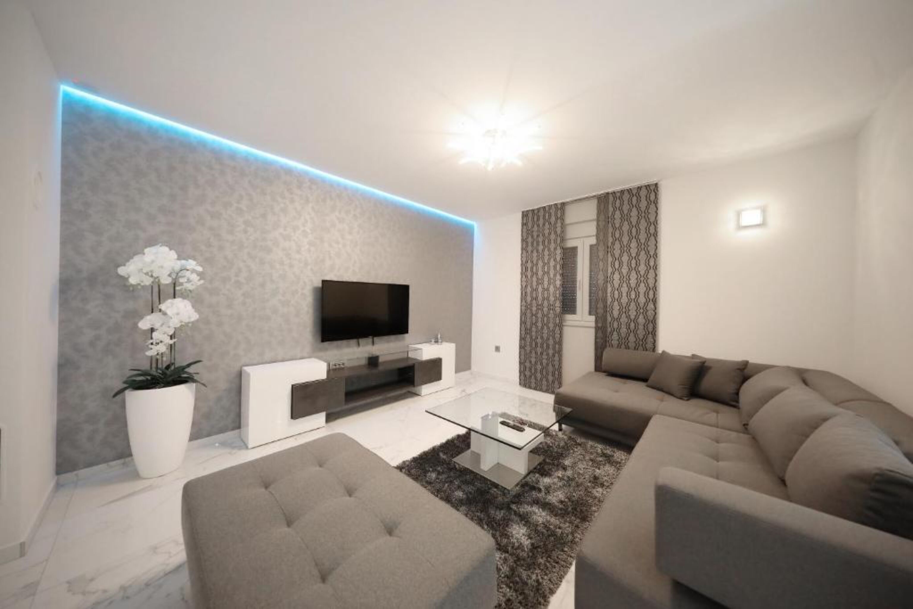 A modern living room with a flat-screen TV, a glass coffee table, a grey sofa, and a potted plant.