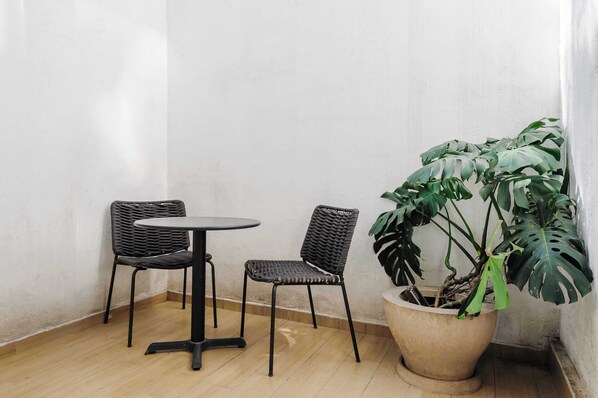 A corner with two wicker chairs, a small round table, and a large potted plant with broad leaves.