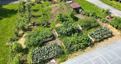 Nature Retreat, Pet Friendly Cozy Cabin On 80 Acres With Fields & Forrest Trails