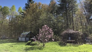 A rustic cabin surrounded by a lush forest. - Nature Retreat, Pet Friendly Cozy Cabin On 80 Acres With Fields & Forrest Trails (Fort Edward)