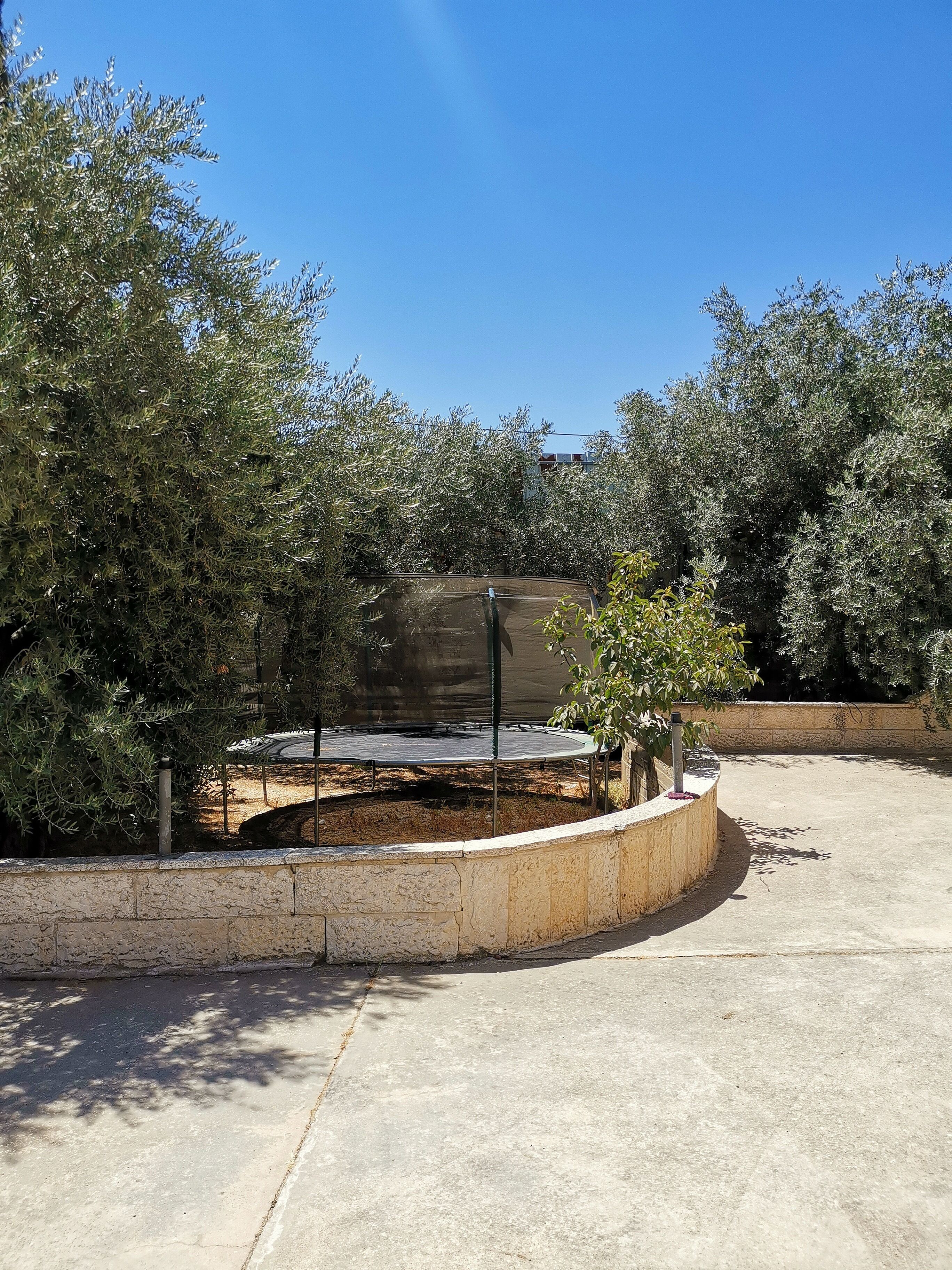 Un espacio exterior de concreto con un trampolín rodeado de árboles.