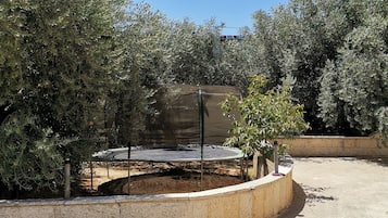 Un espacio exterior de concreto con un trampolín rodeado de árboles.
