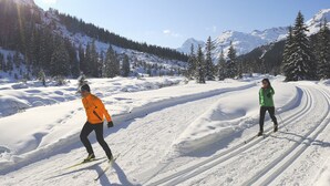 Two skiers on a snowy trail with trees and mountains in the background.