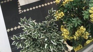 Rebedor d'hotel amb un dibuix de terra de pissos, una entrada amb porta de vidre i plantes en test amb flors grogues.