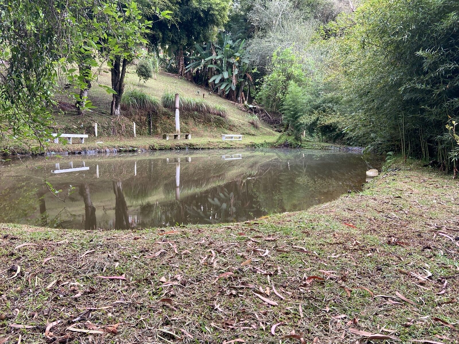 Un étang paisible, entouré d’une végétation luxuriante, et une zone herbeuse agrémentée de bancs.