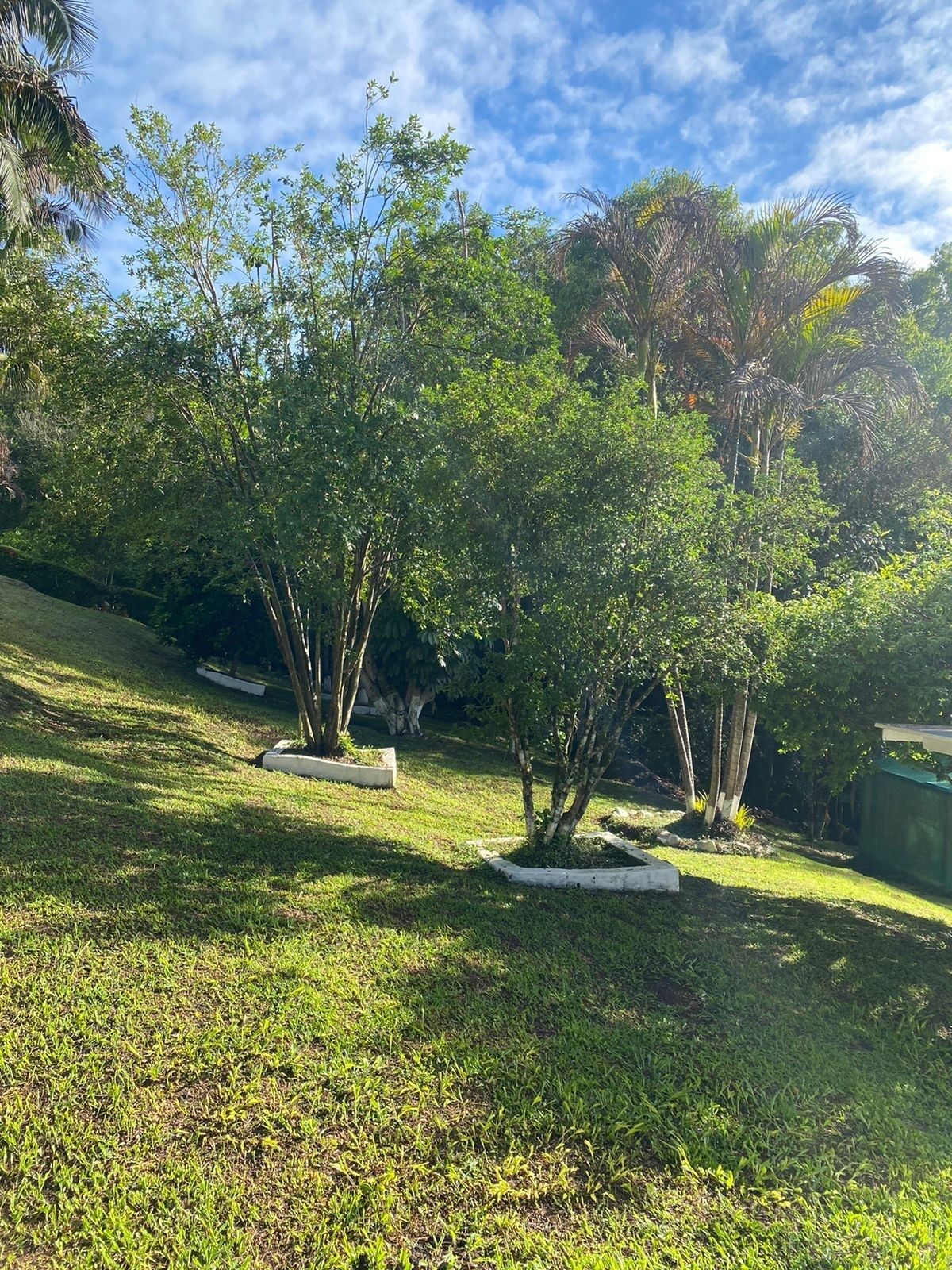Ein angelegter Garten mit verschiedenen Bäumen und Sträuchern, einer Rasenfläche und blauem Himmel.