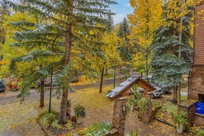 Property grounds - New Stunning 3BR, 3BA Steps from Gondola with AC! (Aspen)