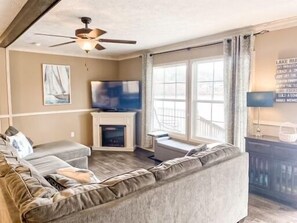 Smart TV, fireplace, books