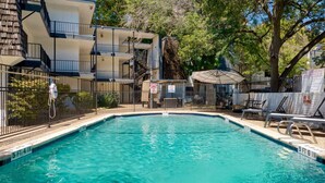 A rectangular swimming pool with clear blue water, surrounded by a metal fence. There are lounge chairs and umbrellas near the pool, and a building with multiple balconies in the background. - Prime SoCo cozy 1BR king suite w/ pool, parking (Austin)