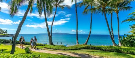 Condo, 1 Bedroom | Beach