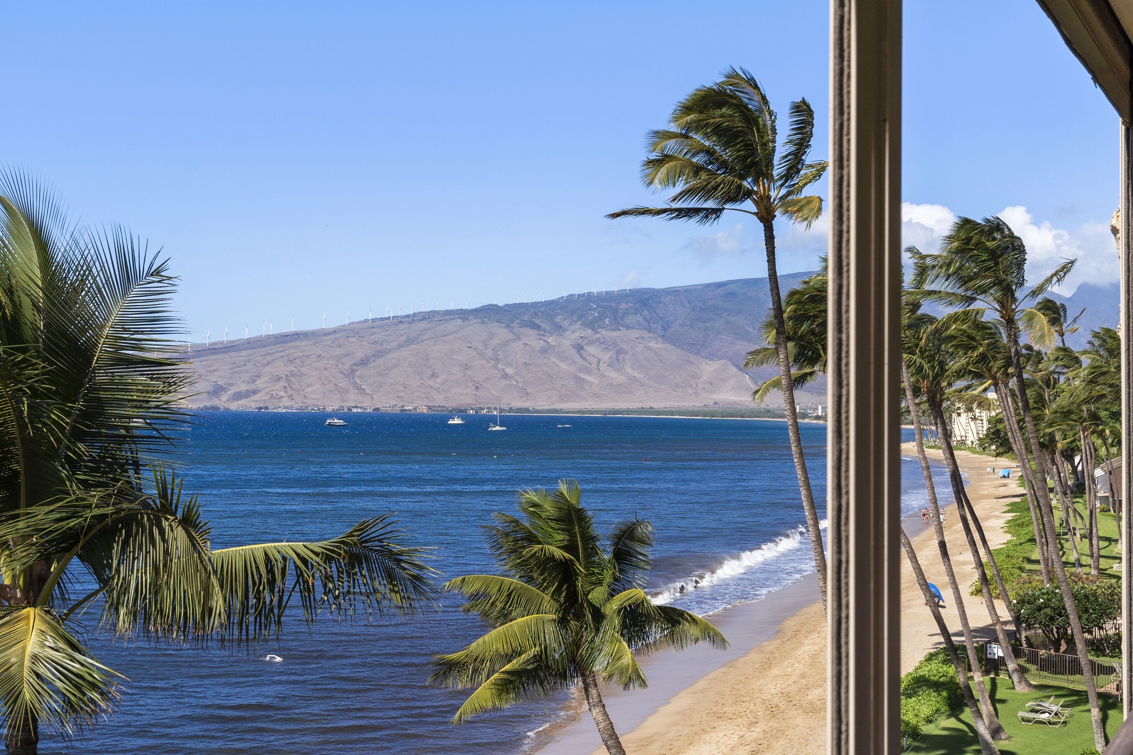A coastal view with palm trees, a beach, and wind turbines in the distance.