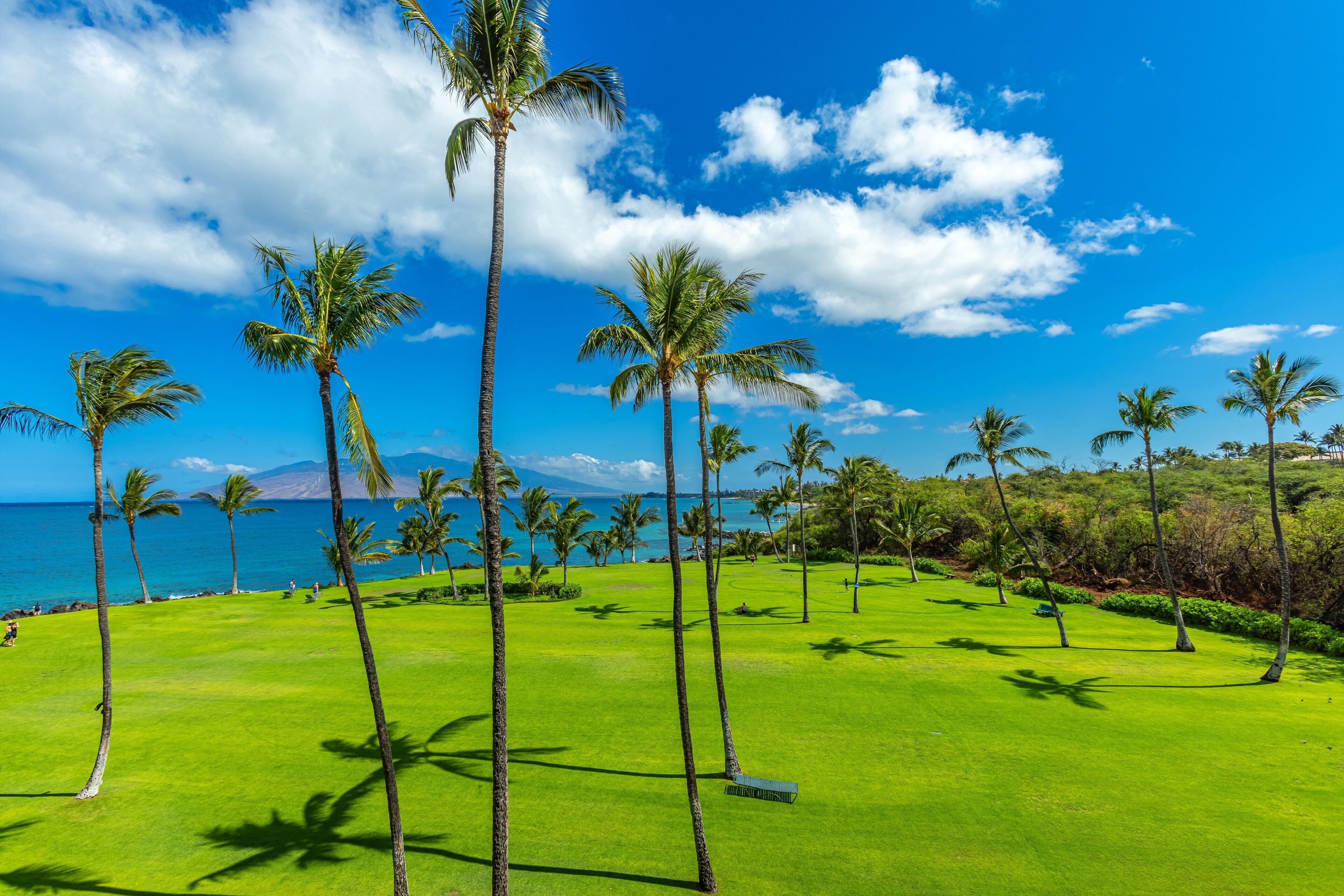 Appart'hôtel, 1 chambre | Golf