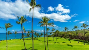 Un campo da golf con palme e vista sull'oceano.