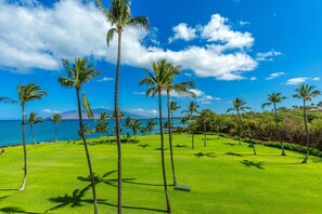 A golf course with palm trees and a view of the ocean.