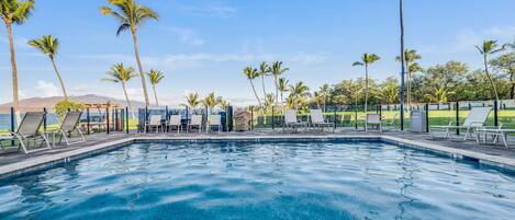 Appart'hôtel, 1 chambre | Piscine