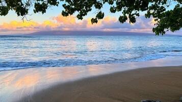 Condo, 1 Bedroom | Beach | Beach nearby