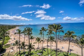 Une plage bordée de palmiers, un ciel dégagé et une vue sur l’océan.