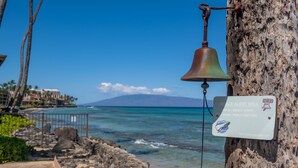 A coastal scene with a whale alert bell attached to a tree, a signboard, and a clear view of the ocean and distant land.