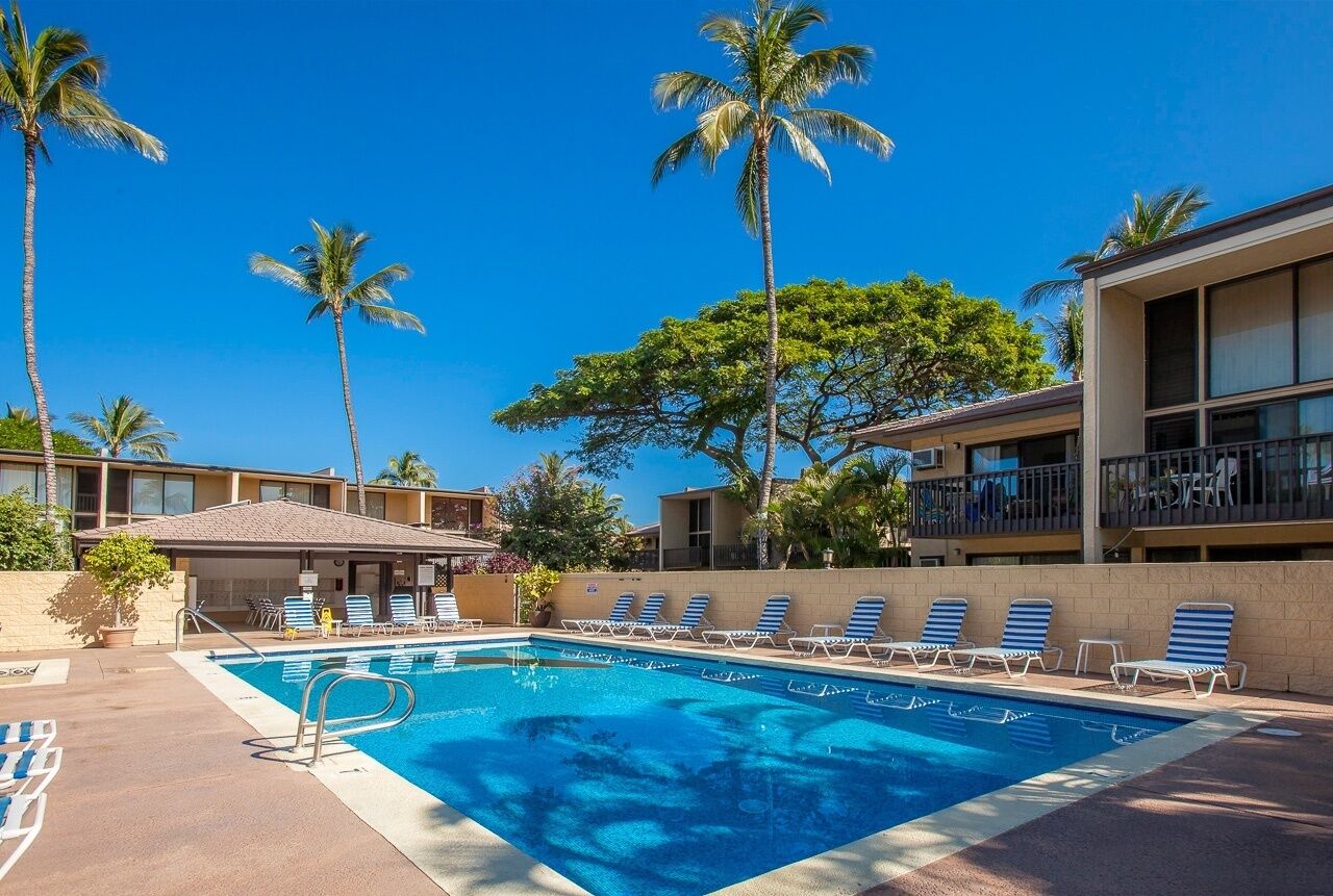 A swimming pool with lounge chairs, palm trees, and a building with balconies.