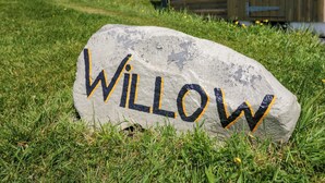 Una piedra con la palabra 'WILLOW' pintada, colocada sobre césped con una estructura de madera al fondo.