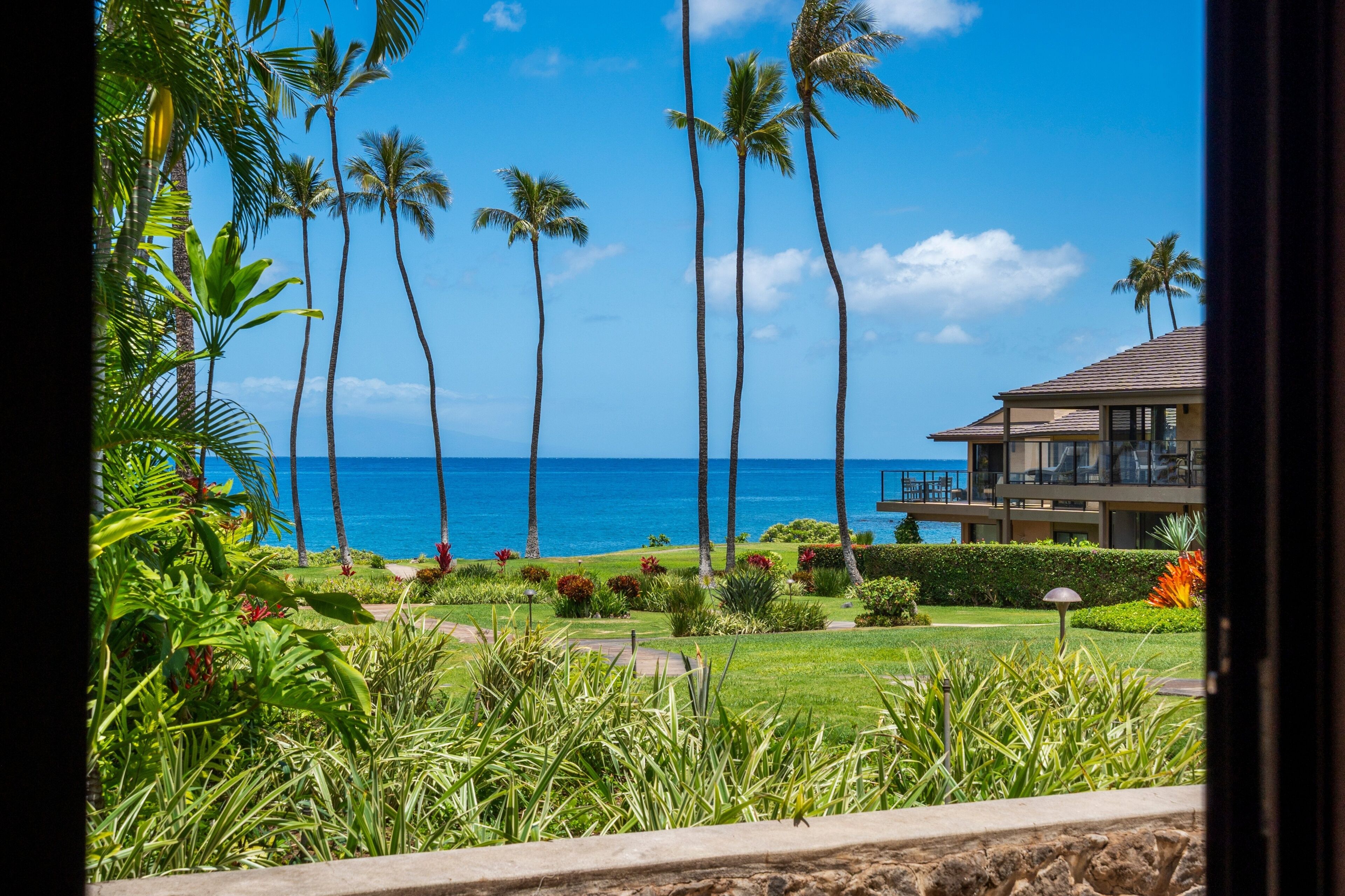 A view of a tropical resort with palm trees, a clear blue sky, and a body of water in the background.