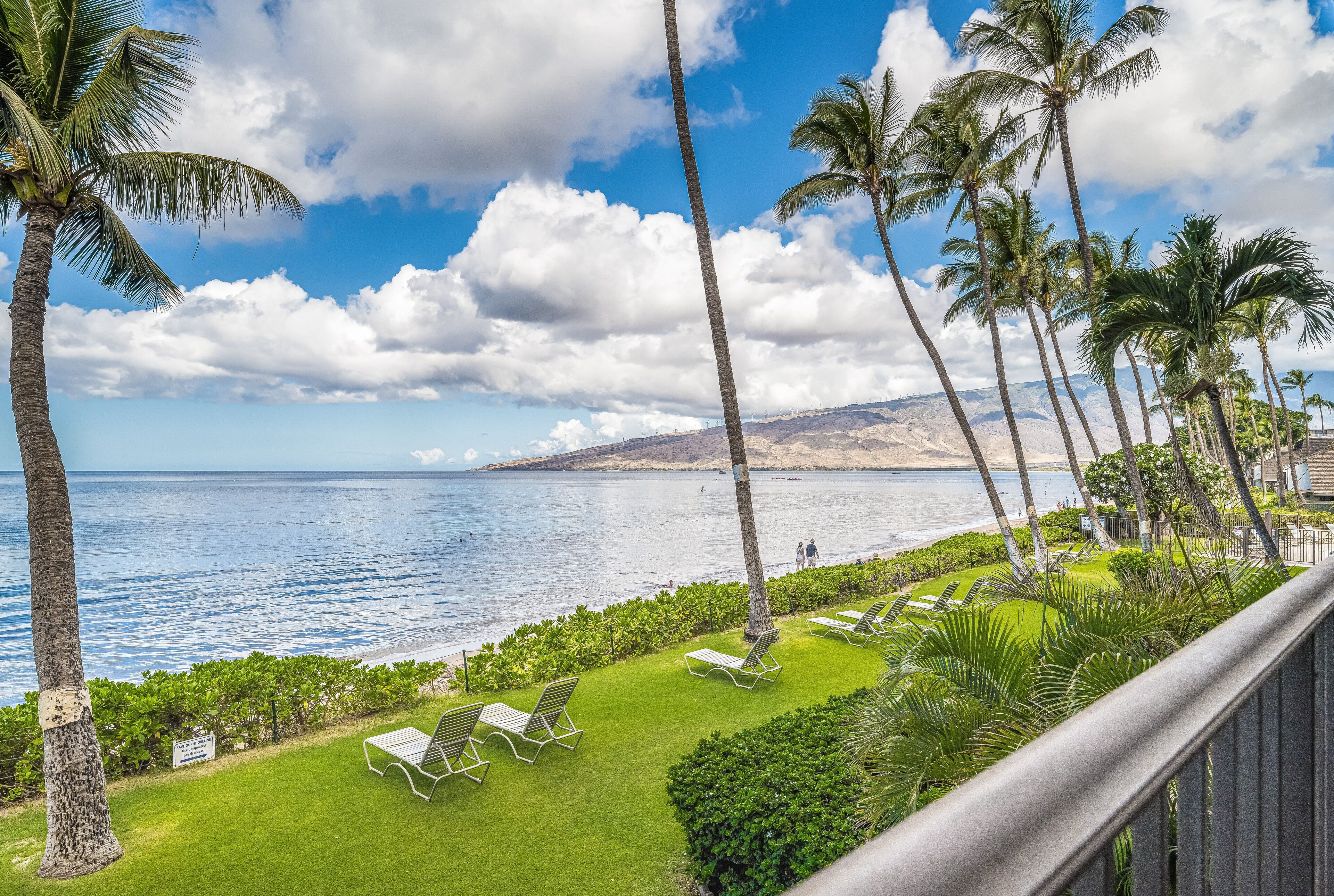 A coastal view with palm trees, a grassy area with lounge chairs, and a clear sky.