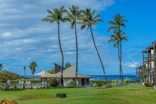 A hotel with a large lawn, palm trees, and a view of the ocean.