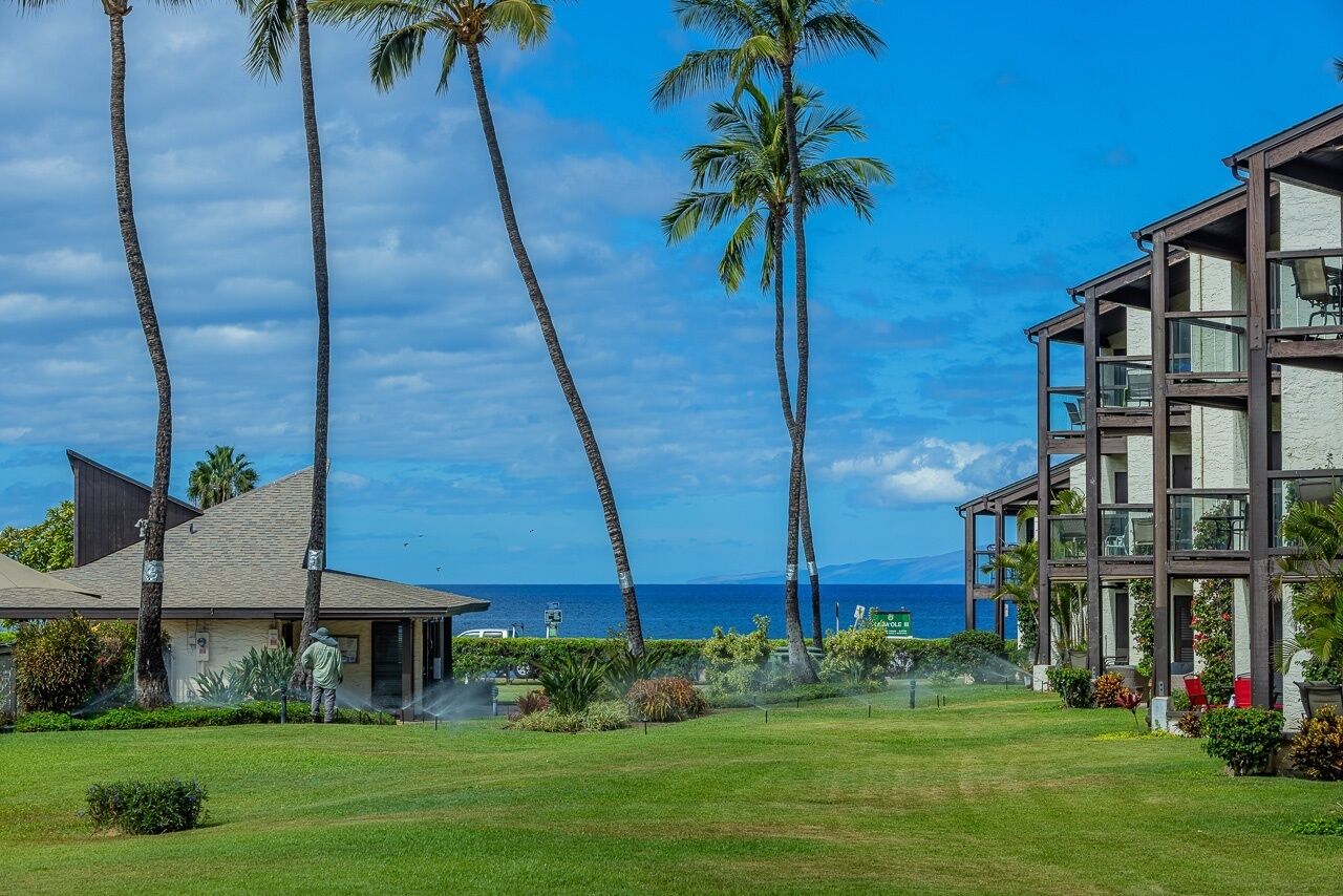A modern building with a large glass facade, a well-maintained lawn, and tall palm trees.