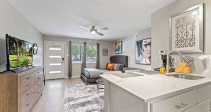 Efficiency studio close to Downtown and Domain