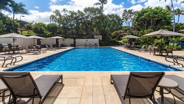 Une piscine rectangulaire entourée de chaises longues et de parasols, elle-même bordée de palmiers et de verdure.