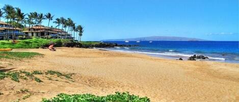 Kondominium, 2 kamar tidur | Pantai | Pantai di sekitar