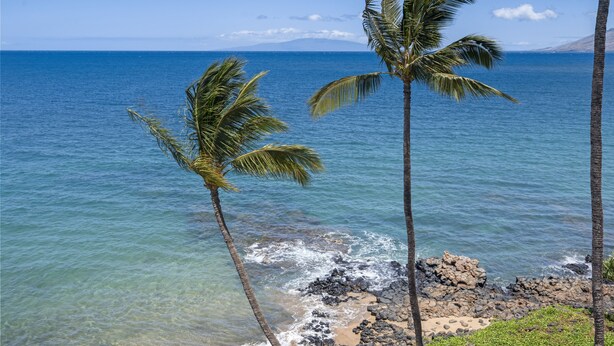 A coastal view with clear blue water, rocky shoreline, and two palm trees. - Kamaole Nalu, #105 2 Bedroom Condo by RedAwning (Kihei)
